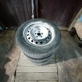 16 lyk disga pakrysga