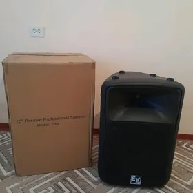 Toý Kolonka 15"-lik. EV-zx4.