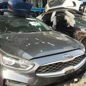 Zakaz dubai awto śaylary