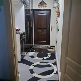 Eyesinden arenda jay