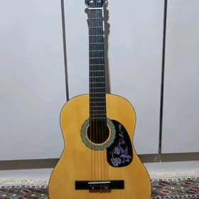ARASSA GITARA JJINIM