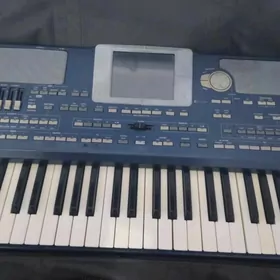 korg pa800
