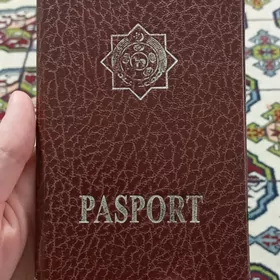 Pasport Ýitdi /