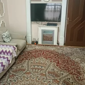 1mikryon mir koca gapdaly