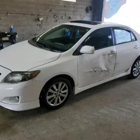 Toyota Corolla 2010