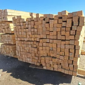 REÝKA / AGAÇ / STRAPILA