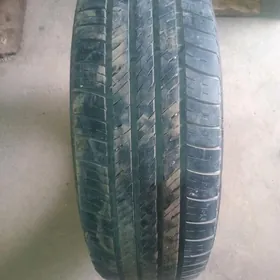 205.70.15.lik bezkamir