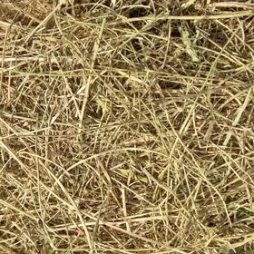 yorunja gamyş saman şugundur