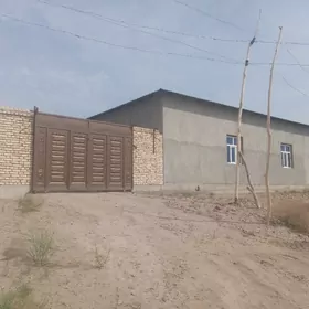 светлые жай