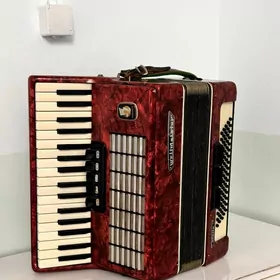 Akkardeon Akardion Weltmeister