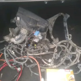 15  kemryn salon  komplekt tok