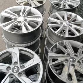 Disga kia hundaý morda