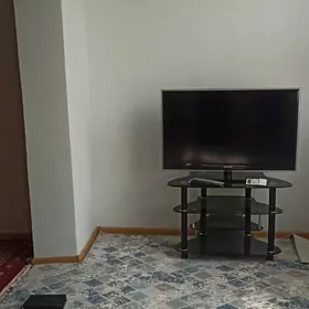 arenda dasaf 3kom talyp oglana