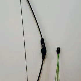 Лук со стрелами