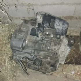 karopka öküz kelle