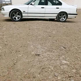 BMW şnaýzer disga R17