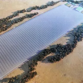 Satlyk ÿyladyşhana_(типлисса)