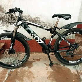 welik велик welosiped велосипе