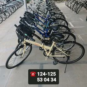 ️TIGIR ÝAPON YAPON TİGİRLER