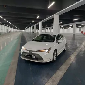 Toyota Corolla 2020