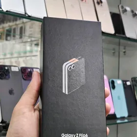 Samsung Filip 6 12/256gb paket