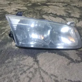 камры бабичка