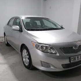 Toyota Corolla 2010