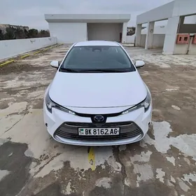 Toyota Corolla 2023