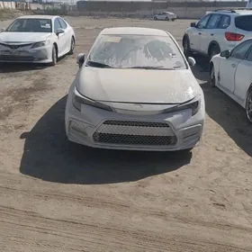 Toyota carolla 2020-2025Model