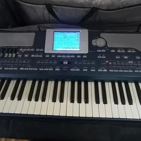Korg pa 800