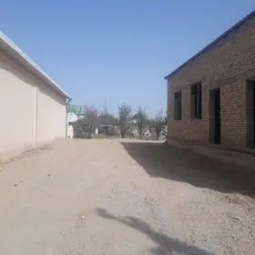 satlyk jay bagyr mirewe