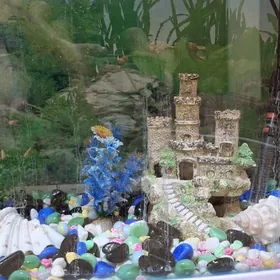 АКВАРИУМ НЕ ДОРОГО.