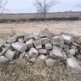 Bardurdan söküken bitonlar