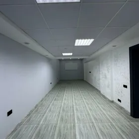 Arenda padwal Gurtly 150mkw