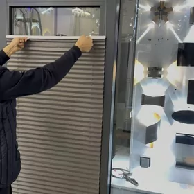 Setka Ayna dushkabina