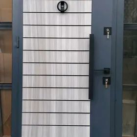 новая дверь Taze gapy