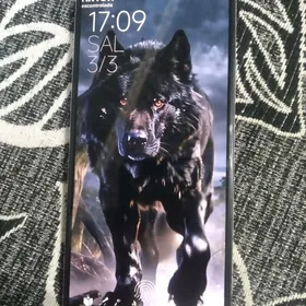 Redmi note 13 pro 12/512