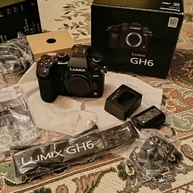 lumix gh6