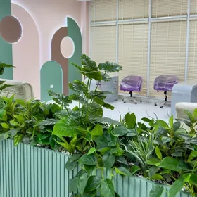 salon/салон/кабинет/kabinet