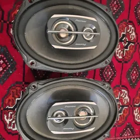 pioneer nikl kolonka