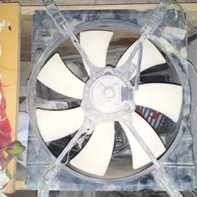 radiotor lopus wentelator