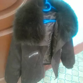 kurtka owadan dowrebap taze