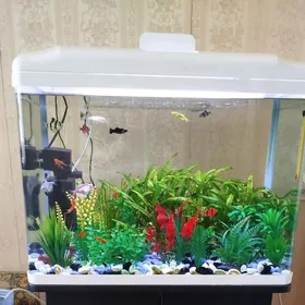 Аквариум заводской