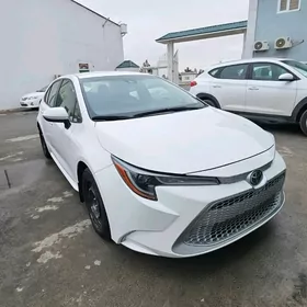 Toyota Corolla 2022
