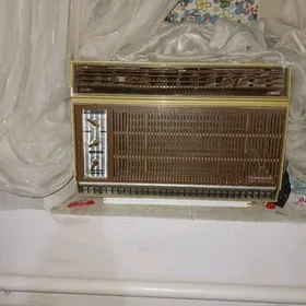 кандисанер