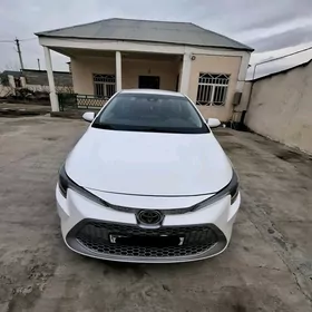 Toyota Corolla 2020