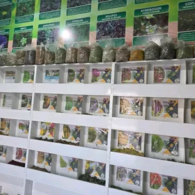 magazinda pradawes gerek