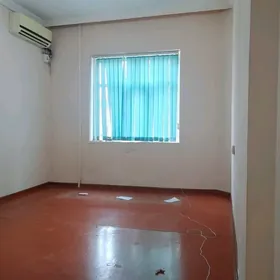 30 микр от хозяина