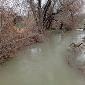 ahal wel gokdepe 8yap daca