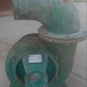 200 lik nasos krilçatka